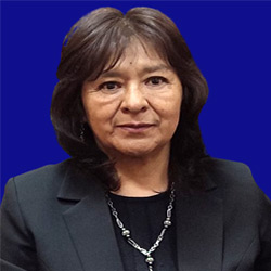 MARIA LUISA BUSTILLOS ARCE Sra.